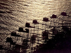 Vue du ciel - France - Fisherman's Huts Near Talmont-sur-Gironde
